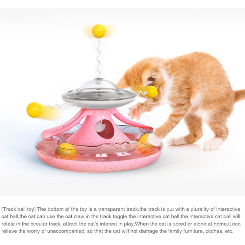 Cat Tumbler Track Cat Turntable