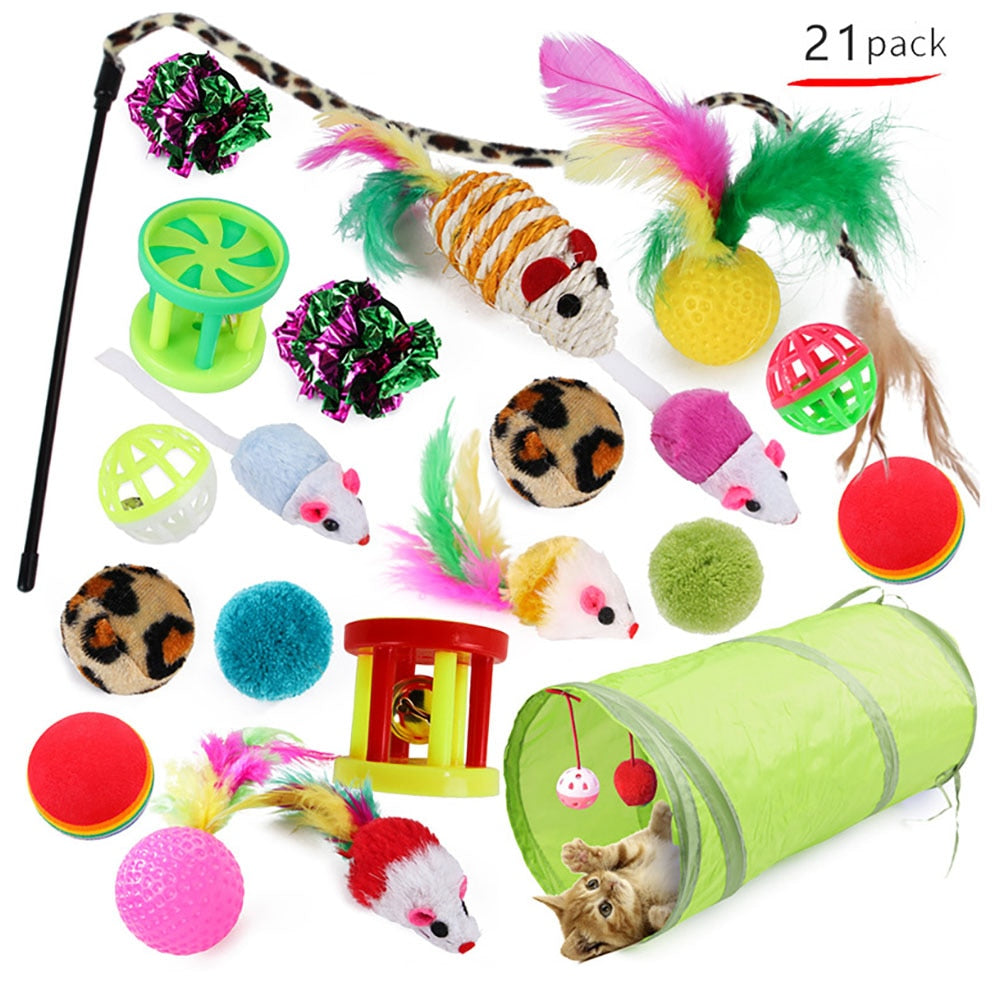 Katzenspielzeug Set